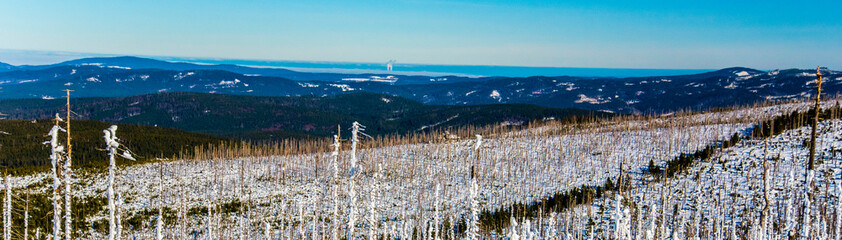 view of winter landscape