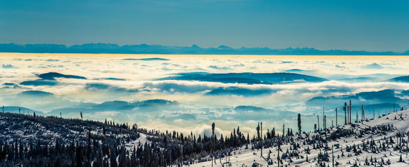winter landscape panorama