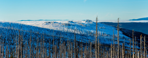 winter view