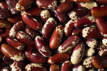 Raw Red Organic Cattle Beans
