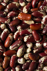 Raw Red Organic Cattle Beans