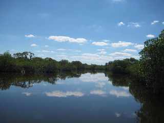 Clouds reflection over water at everglades national park in south Florida