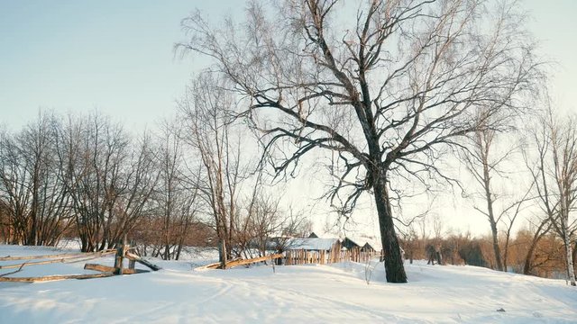 rustic winter landscape