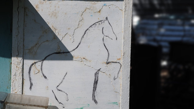 Drawing a horse with a coal. Coal works black stallion smooth lines