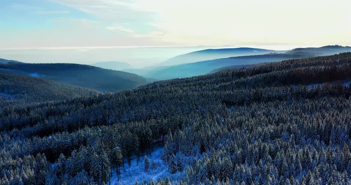Winterwald im Erzgebige