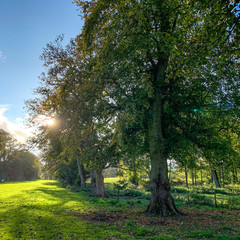 Autumn afternoon, Traquair, Innerleithen, Scottish Borders, Scotland
