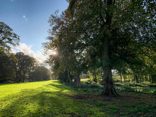 Autumn afternoon, Traquair, Innerleithen, Scottish Borders, Scotland