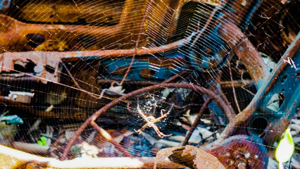 fishing nets and ropes