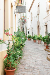 Street of an ancient city in Spain with plants in pots and pavers.