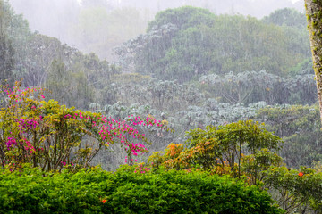 lluvia