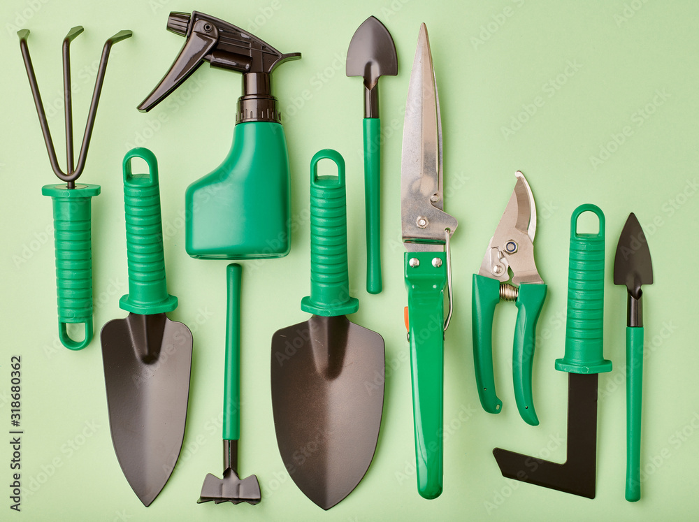 Wall mural Gardening tools on green background flat lay