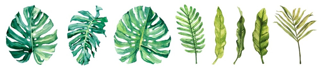 Watercolor hand drawn rainforest tropical leaves botanical illustration set isolated on white background © Salnikova Studio