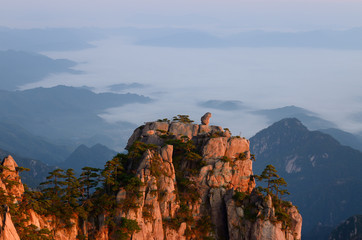 Fototapeta na wymiar Monkey watching the Sea Peak at first light with fog in valley at Huangshan Mountains China
