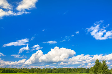 summer rural landscape with a blue sky and white clouds