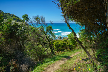 hiking the great ocean walk to milanesia beach, coast of victoria, australia