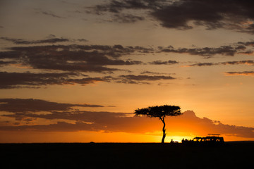Tourist enjoying evening tea during Sunset at Masai Mara