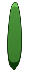 Green cartoon style cucumber on white background