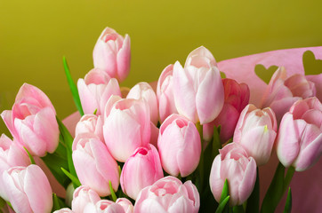pink tulips on yellow background