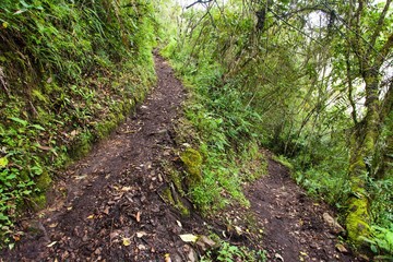 Fototapeta premium Machu Picchu, pathway to peruvian incan town