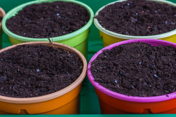 Colorful plastic pots for seedlings. .Bright round containers for growing plants filled with earth. Close-up.