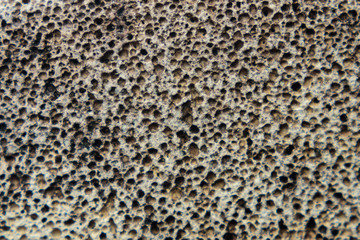 Pumice stone is a natural grey porous stone.