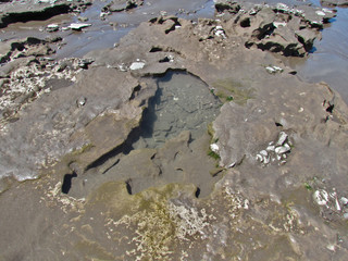 Fossilized footprints of humans over 20,000 years old
