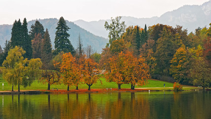Wonderful autumn landscape with trees reflexing in calm water View of lake's promenade, Bled, Slovenia