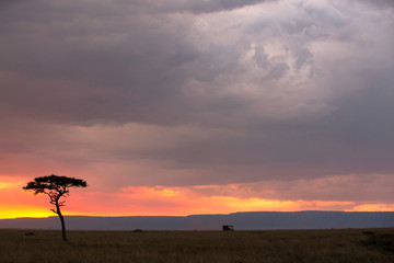 Sunset  and a Safari Vehicle moving in vast Savannah, Masai Mara