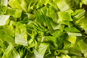 Raw Green Organic Cut Up Romaine Lettuce