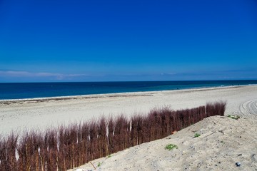 Heligoland - beach of island Dune