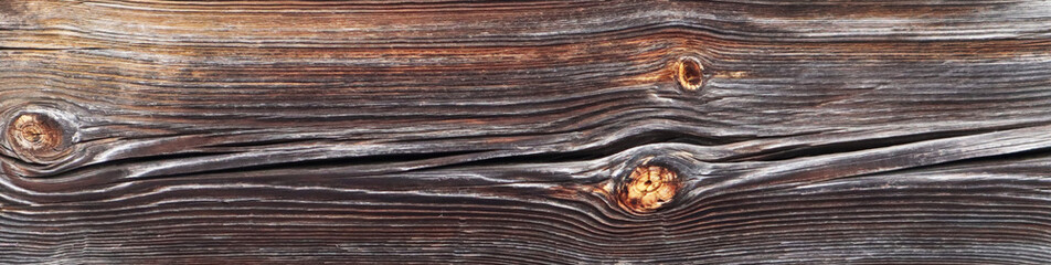 Wood texture close up. Abstract background. Banner