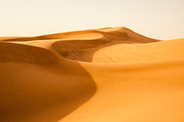 Fototapeta na wymiar Scenic golden dunes in desert