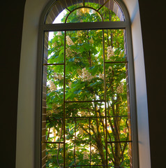 window with view
