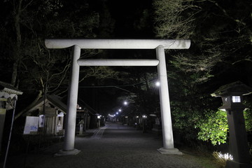 天岩戸神社 西本宮 鳥居 (宮崎) (夜景)