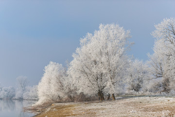 Obraz na płótnie Canvas Winter wonderland