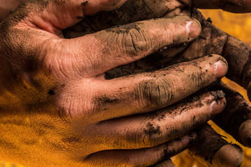 Muddy hands after planting a tree