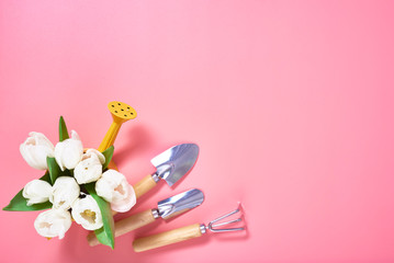 Beautiful pink tulips, watering can and gardening tools on neutral background. Concept gardening. Top view.