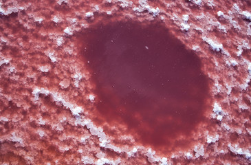 white and red crystals of salt in water