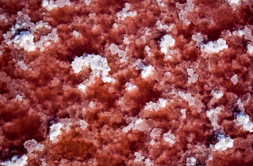 white and red crystals of salt in water