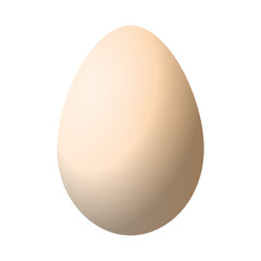 Realistic chicken egg vector isolated on a white background.