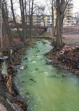 Polluted River