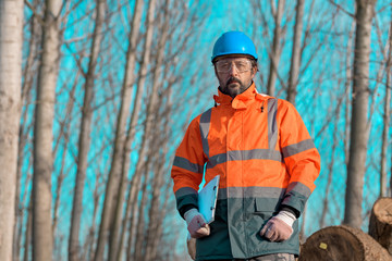 Forestry technician portrait during logging process in forest