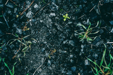 Real charcoal texture in cold black tones