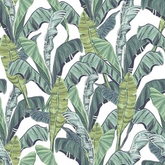 Fototapety  Liście bananowca. Tropikalne zielone liście wzór.
