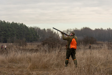 Hunter aiming the hunt during the hunting season. Hunting dogs waiting for the shot