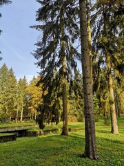park cmentarny