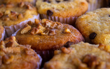 Vanilla and walnut cupcakes. Approach with selective blur of sweet muffins.
