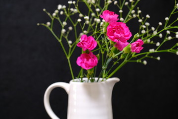 bouquet of carnation in vase on a white background