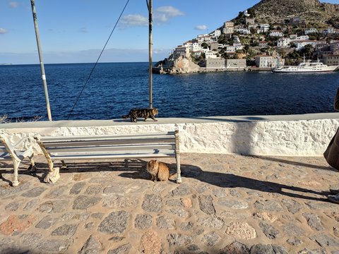 Greece Athens Hydra walk to city, day nature