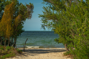 sand trail to the beach